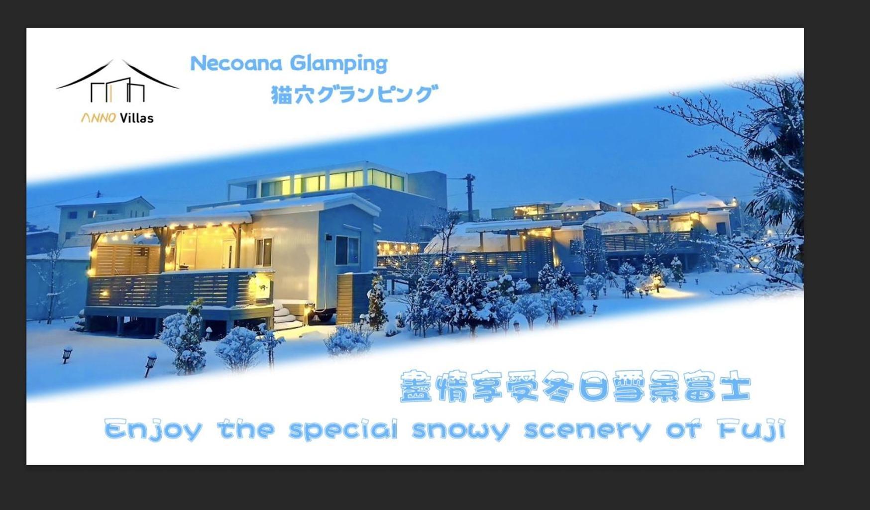 Necoana Glamping Annovillasグランピング 富士河口湖 外观 照片